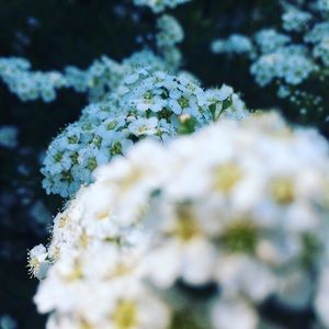 Meet your Posher, Claire